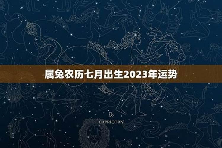 梦到死猫是什么意思？
