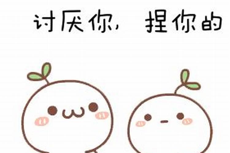 深圳端午节去哪玩好,适合去哪里玩