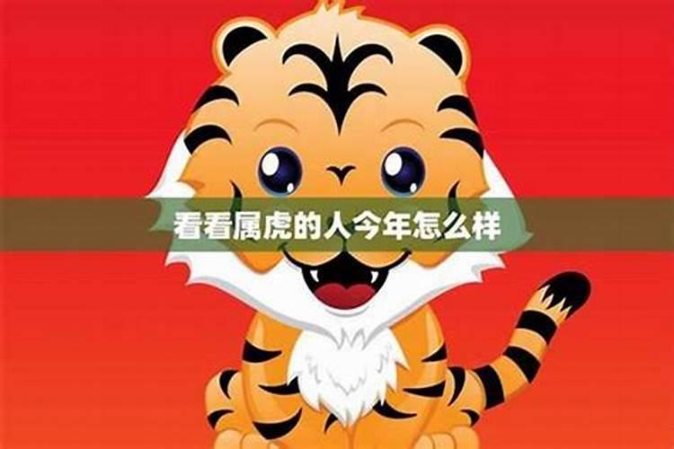 正月十五长春哪里有烟花