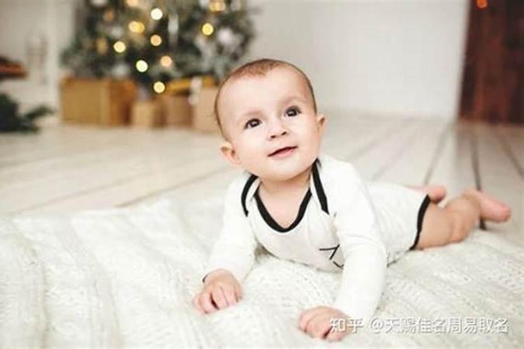 跟猪比较合的属相