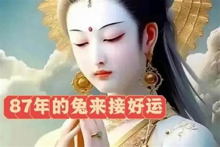 87年属兔女2025年全年运势及每个月运势