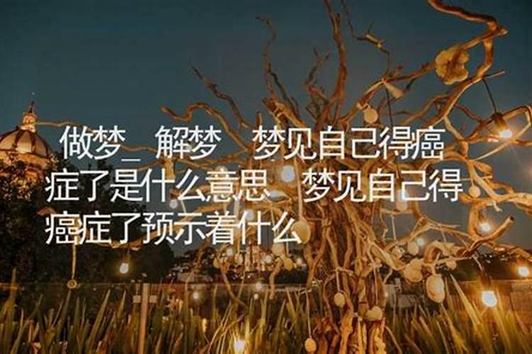 2025年属狗人的全年每月运势