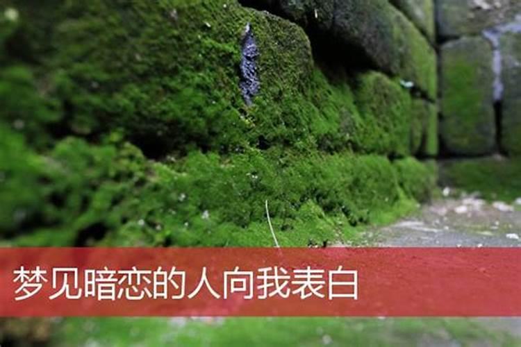 梦见我暗恋的人不理我的预兆