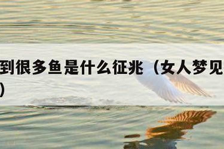 最近运气很差做什么事都不顺怎么办呢？