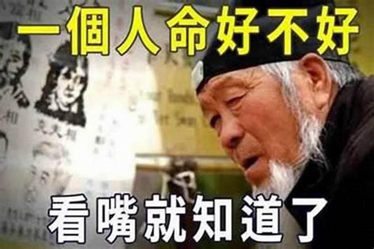 狗年有哪些属相犯太岁,佛教徒应该怎么办？