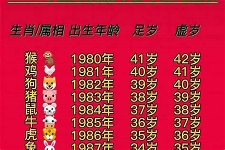 2002年属马的是什么命男孩