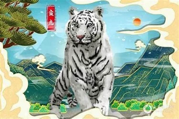 八字天干五合是什么,合化原则有哪些？