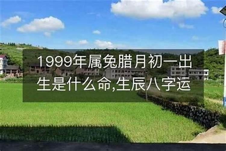 2021鼠年腊月出生是什么命 金鼠性格特点分析？