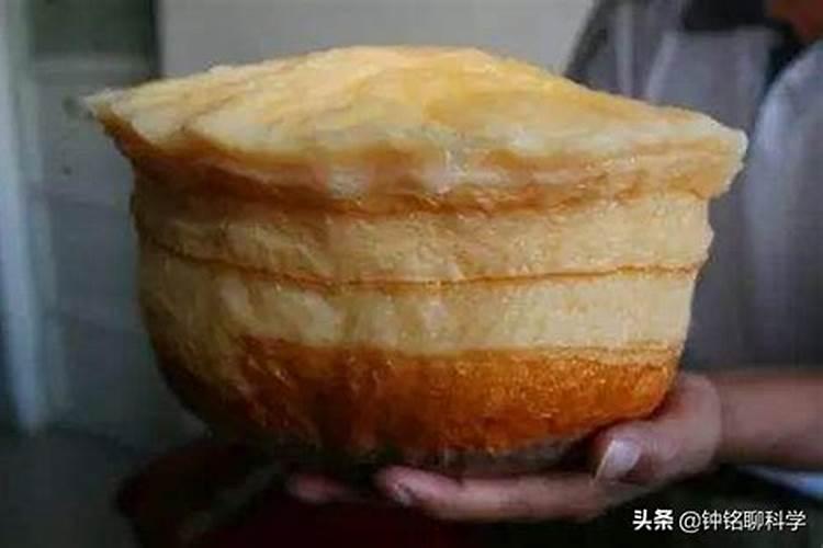 太岁究竟什么来头,它凭什么被卖到天价？它真的能够持续生长？