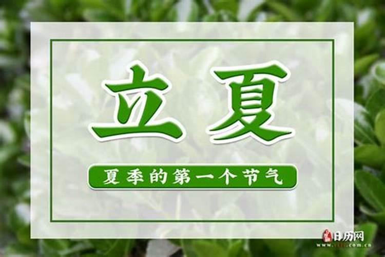 86属虎2025全年运势