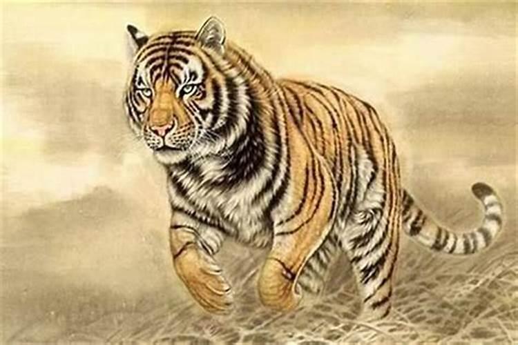 属虎的1986年12月18子时生的命运怎么样