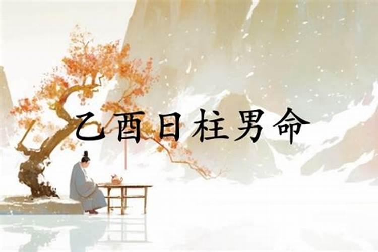 乙酉日柱婚姻会幸福吗 婚姻分析？