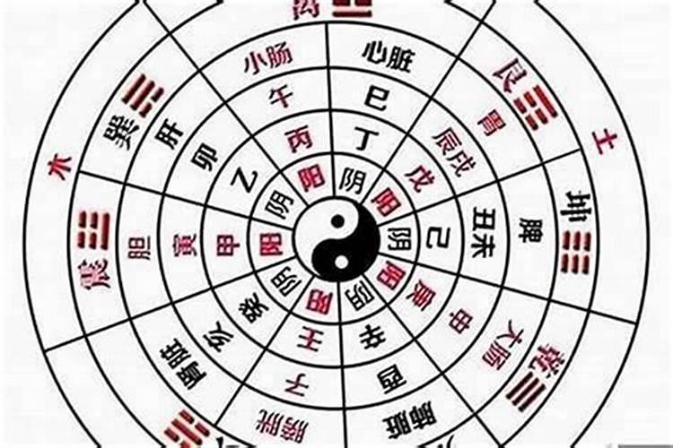 怎么看生辰八字是阴是阳？