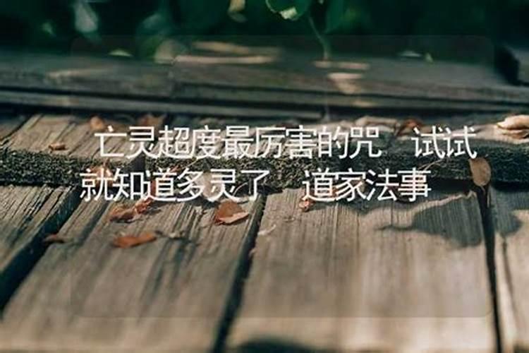 属狗的和什么属相相冲 属狗的和什么属相不合