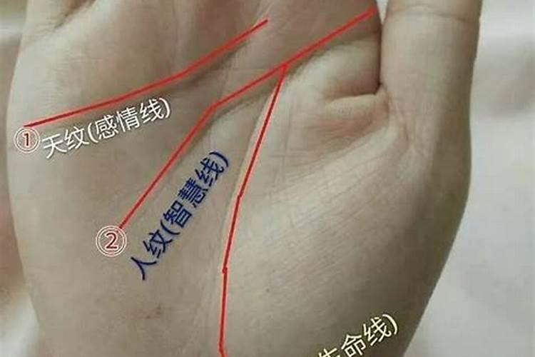 算命先生的经典台词