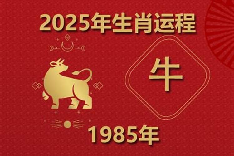 85年牛2025年运势及运程
