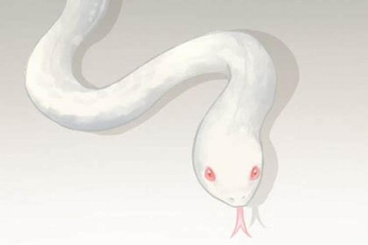 五月初五的水怎么使用招财