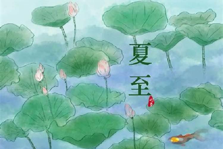 夏至是24节气的第几个节气 夏至是第几个节气