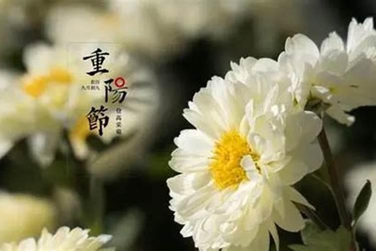 什么叫做刑太岁,命犯太岁是什么意思