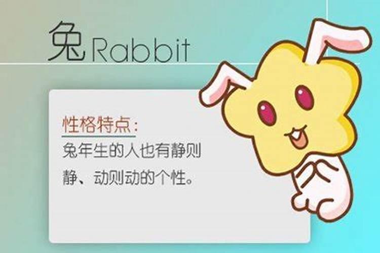 1975年属兔男士(50岁)2025年运势大揭秘,看看每个月该怎么做
