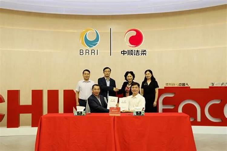 老鼠和兔子属相合不合