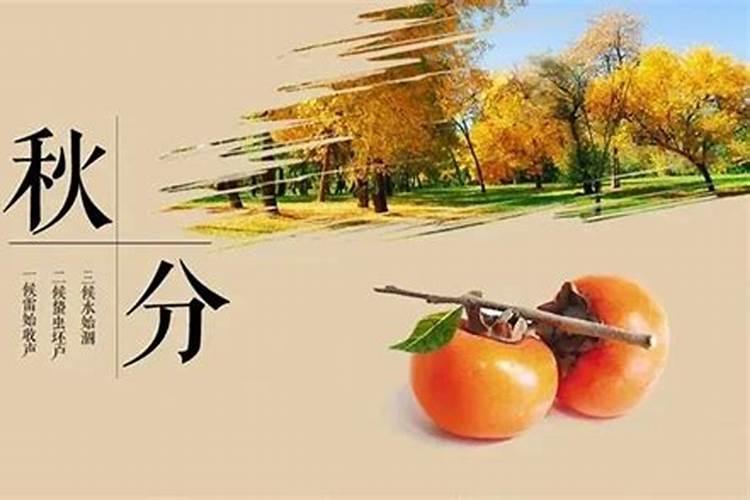 秋分节气有哪些习俗秋分有什么风俗