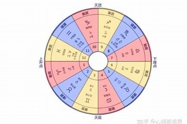 重阳节为什么要赏菊