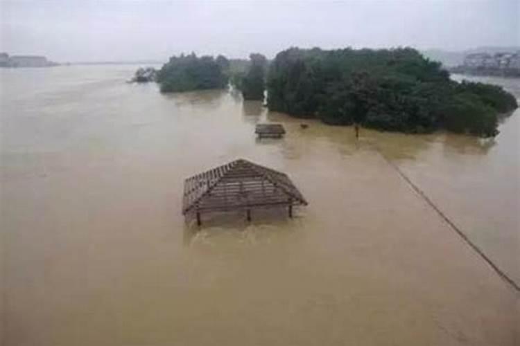 梦见下雨家里发洪水的预兆