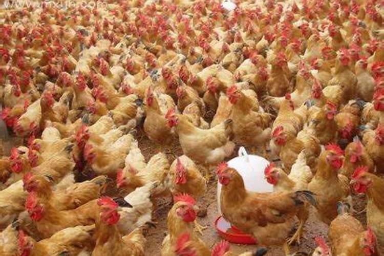 2025年每月运势详解