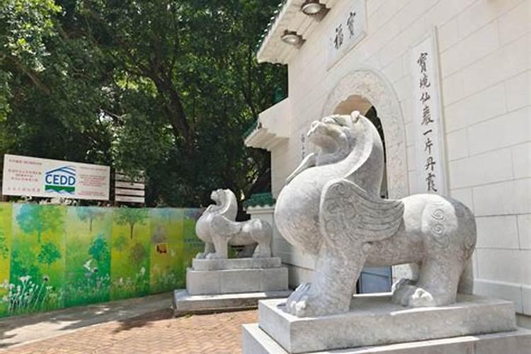 为什么说腊月属羊的命不好