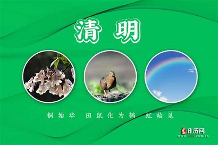 梦见蟒蛇咬自己预示着什么 梦见蟒蛇咬自己怎么解释