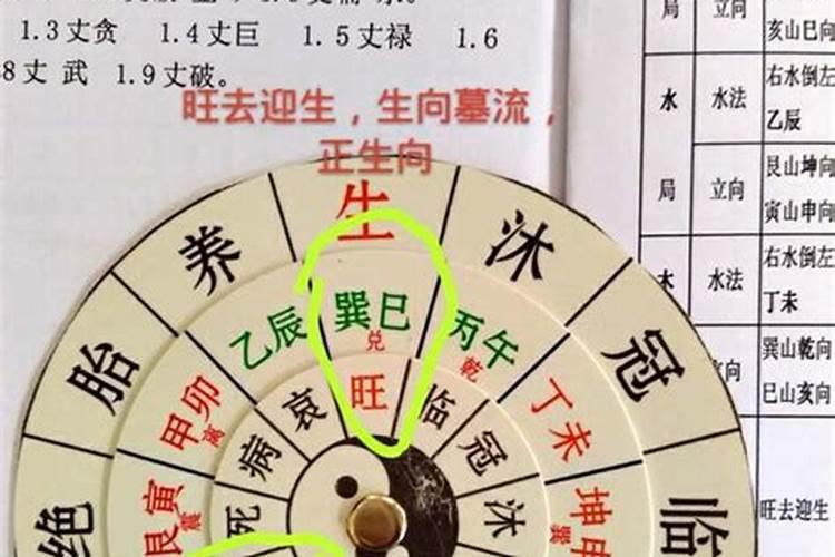 2025属蛇的全年运势运程 属蛇人2025年每月运势