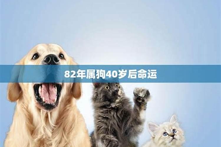 96年多大