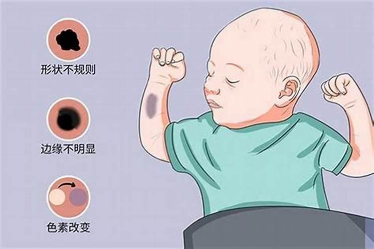 蟹爪兰换盆后多久浇水 蟹爪兰换盆后需等多久才能浇水