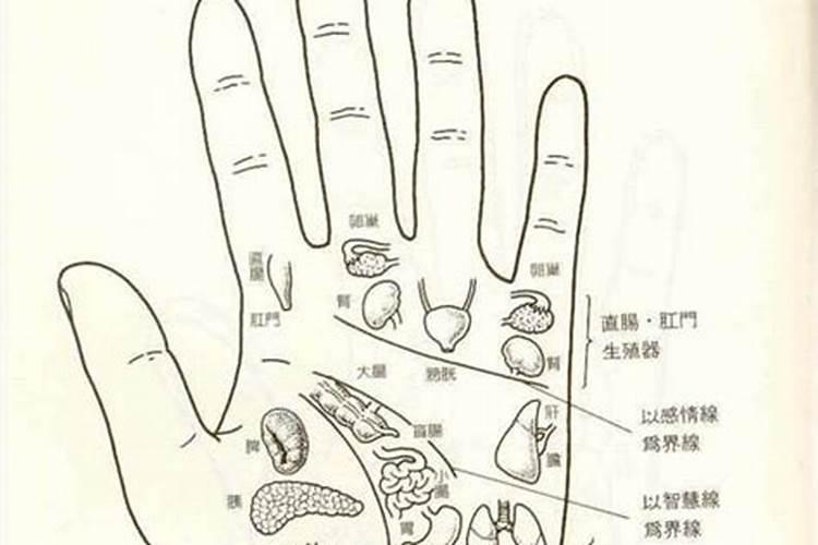 1971年的猪女未来五年的运程 71年属猪人命理？