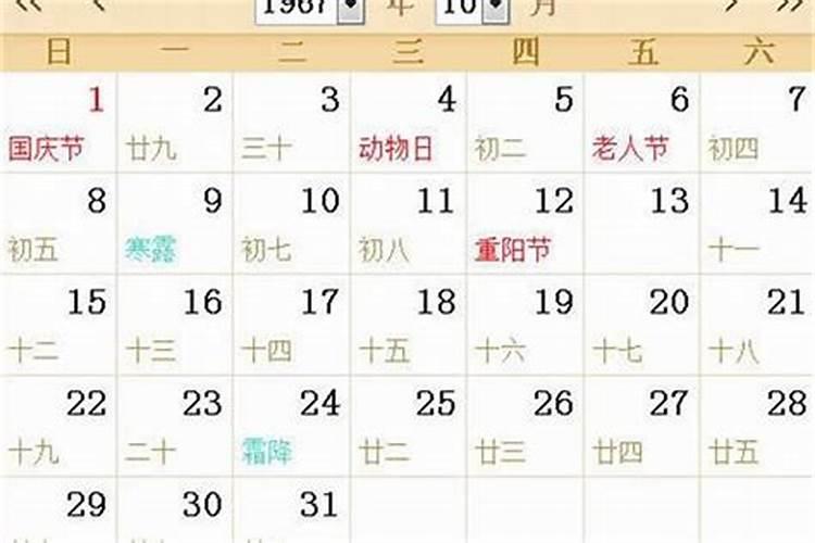 1967年阳历12月12号生的人今年的运势怎么样