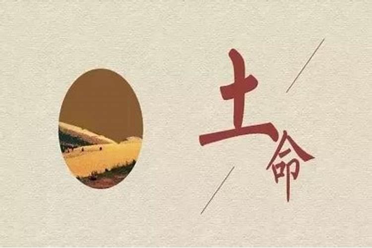 梦见一头牛追着我跑