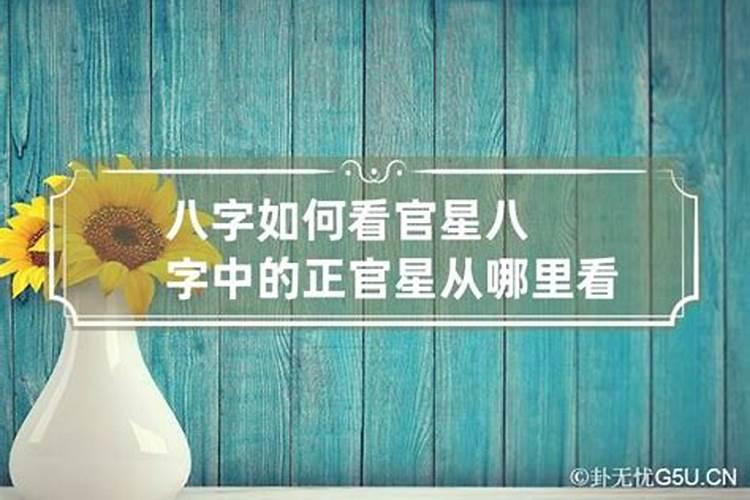 西双版纳是不是过冬的好地方呢？