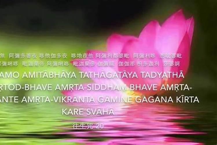 吉林有哪些特色节庆活动