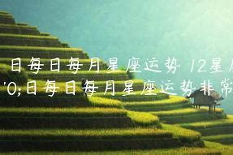 属猪的人2025年运势及运程详解