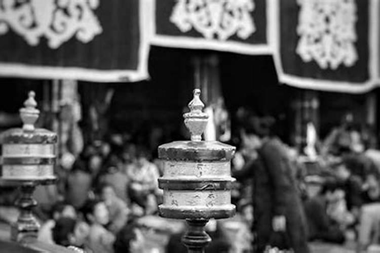 81年属鸡人一生三大坎