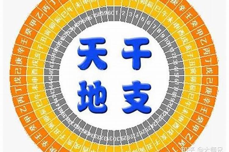 八字地支相合