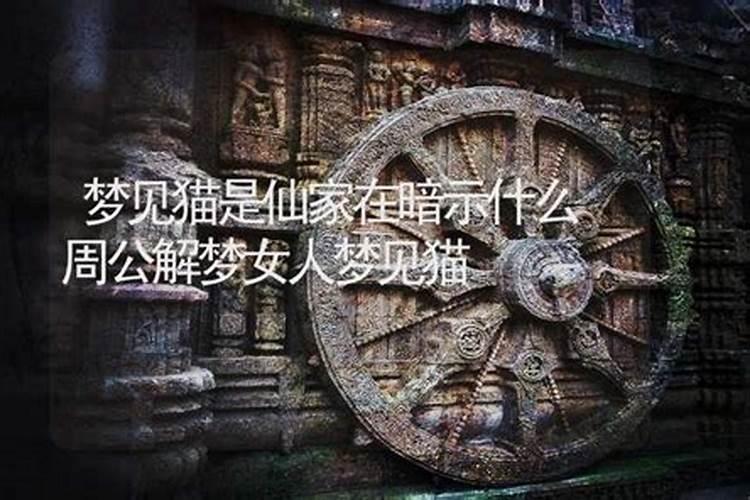 梦见朋友出车祸死了是什么预兆