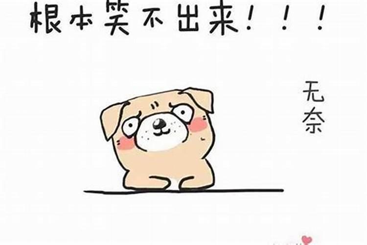 苏州十大好吃餐厅有哪些？