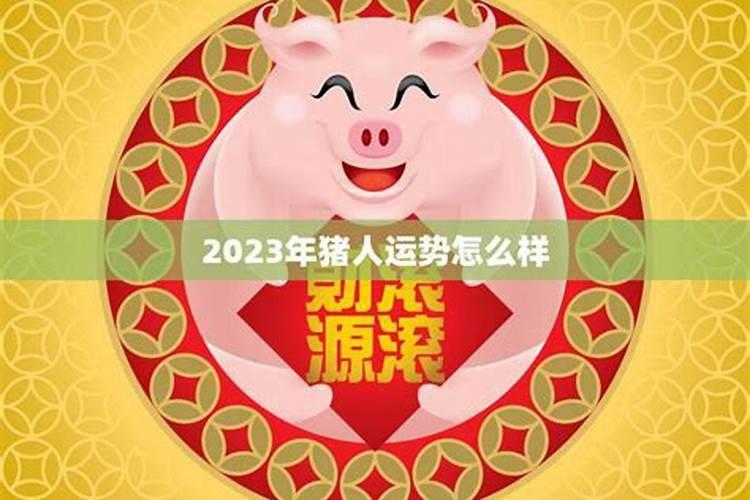 生肖猪2025年运势 属猪2025年运势及运程