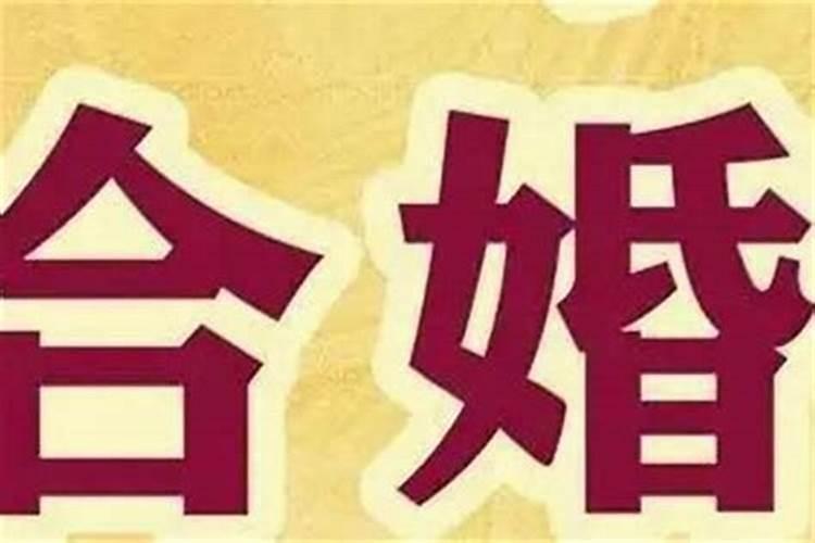 八字合婚69分婚姻幸福吗