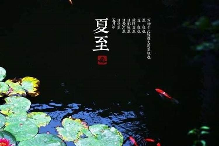 1996属鼠的二月出生好吗,1996年属鼠是什么命男