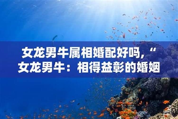 男人八字双蛇好吗