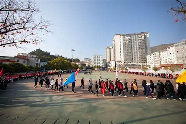 梦见老鼠乱窜是什么预兆