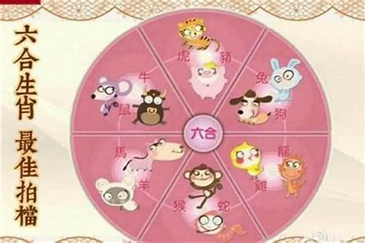 1966年出生属马人2024年感情婚姻好吗